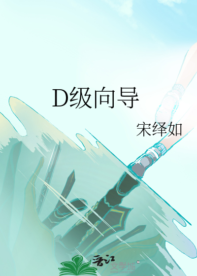 D级向导
