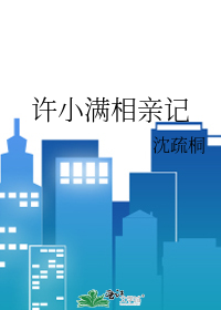 许小满相亲记