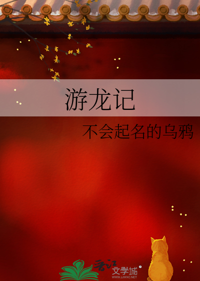 游龙记