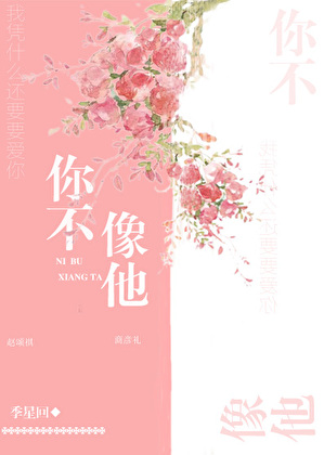 你不像他