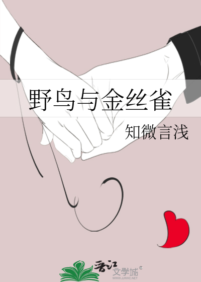野鸟与金丝雀