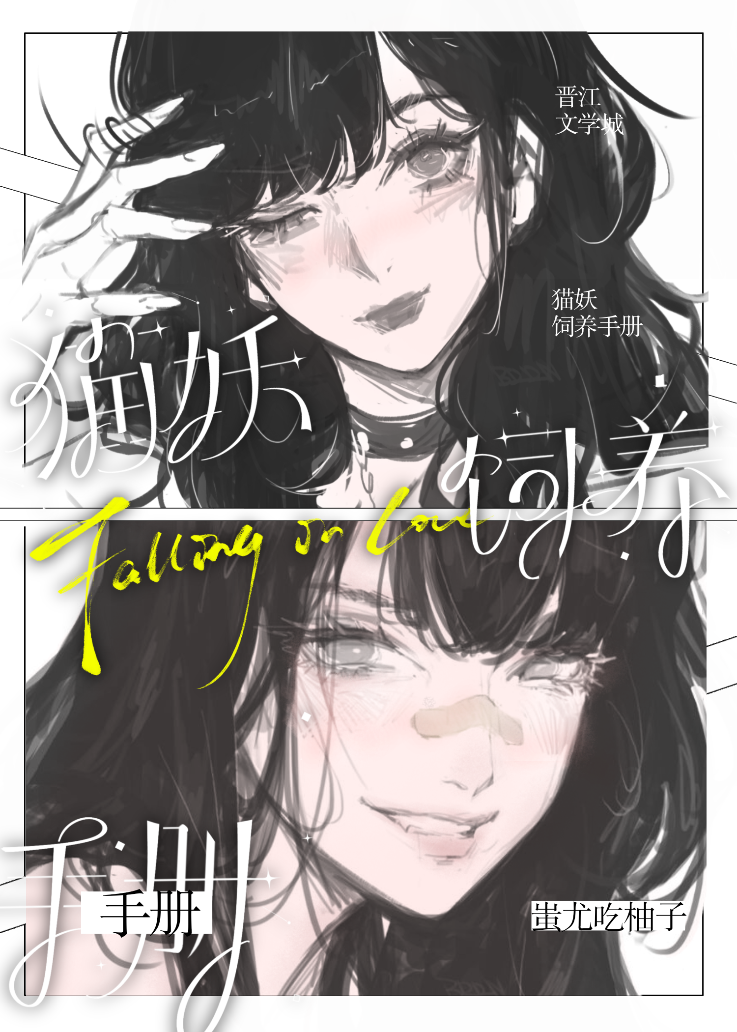 猫妖饲养手册