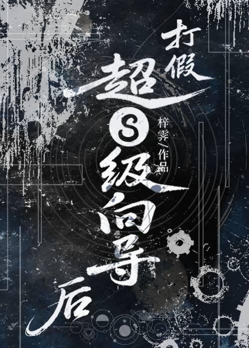 打假超S级向导后【星际】